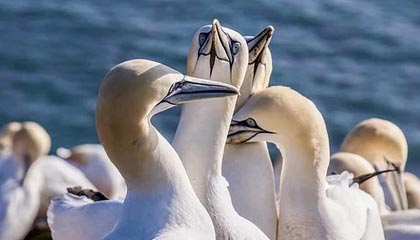 意甲媒体透露:米兰正在关注乌迪内斯前锋洛伦佐-卢卡,尤文和那不勒斯也对其充满兴趣